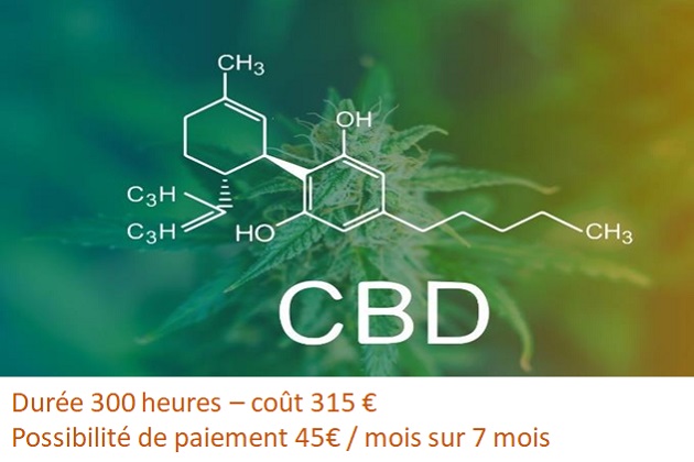 Formation CBD en ligne