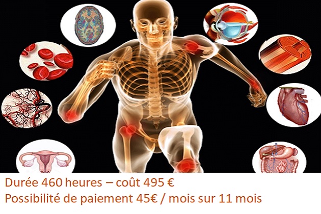 Formation sciences médicales en ligne